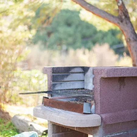 בית נופש Mandorlo E Melograno - Helloelba *